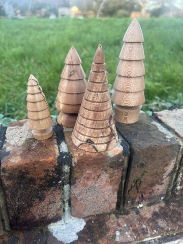 Spalted Beech, Apple and Lacewood Trees